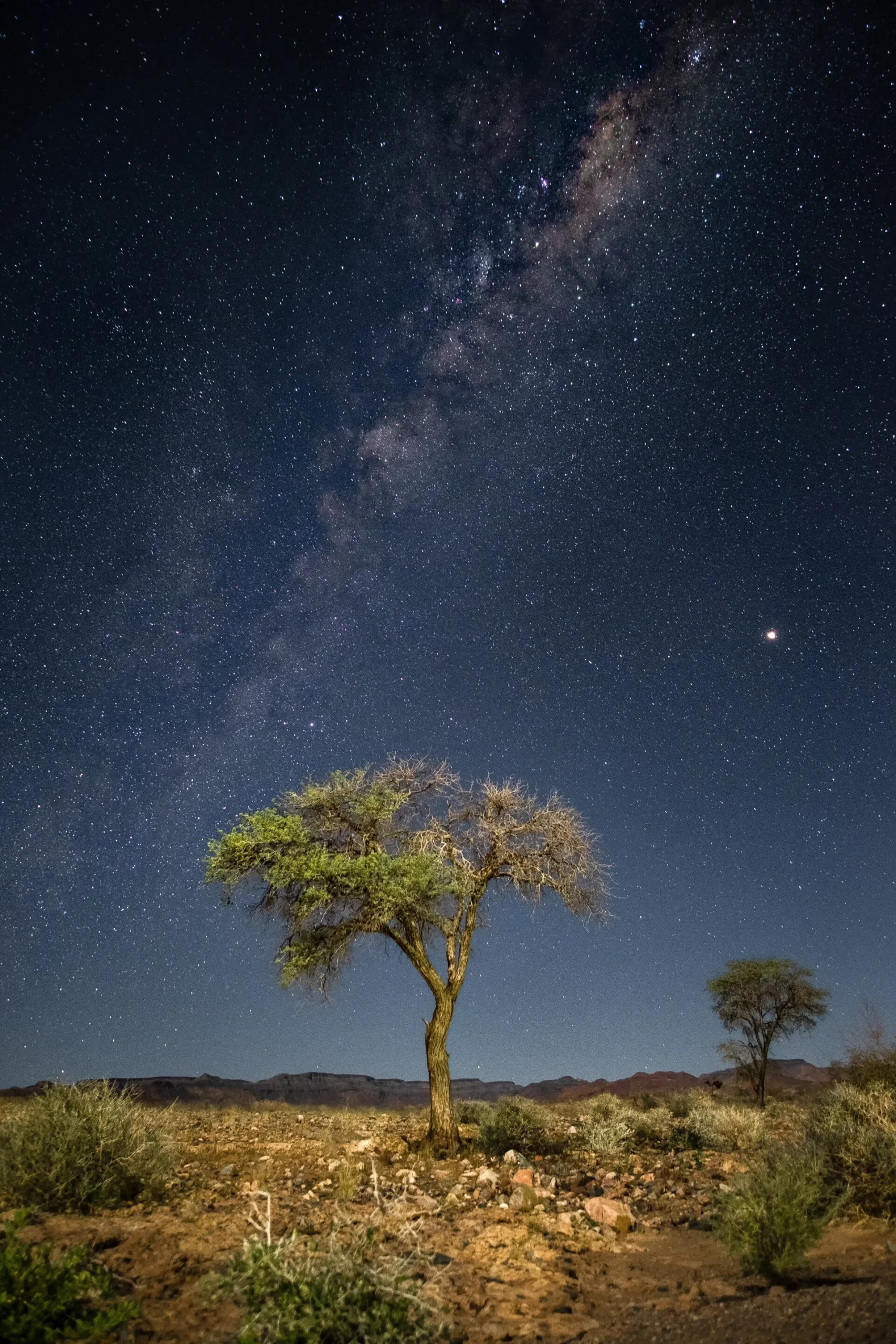 vertical shot tree with breathtaking milky way galaxy background standard o2r9dd scaled